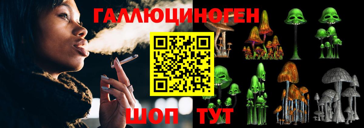 Псилоцибиновые грибы ЛСД  Псилоцибиновые грибы ЛСД  Вход с VPN  Рассказово 